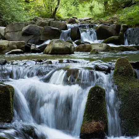 Willa Vita Kwatera prywatna Szczawnica