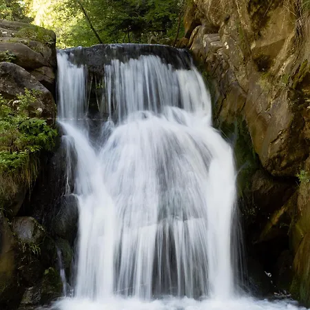 Willa Vita Kwatera prywatna Szczawnica
