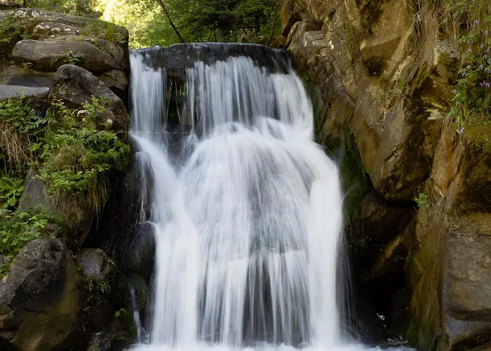 Willa Vita Rum i privatbostad Szczawnica
